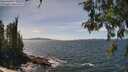 ./images/koeye/fitz-hugh/20260520/fitz-hugh20260520_142001M.jpg