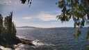 ./images/koeye/fitz-hugh/20260520/fitz-hugh20260520_143001M.jpg