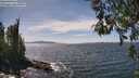 ./images/koeye/fitz-hugh/20260520/fitz-hugh20260520_143501M.jpg