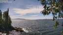./images/koeye/fitz-hugh/20260520/fitz-hugh20260520_144001M.jpg