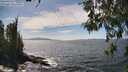 ./images/koeye/fitz-hugh/20260520/fitz-hugh20260520_144501M.jpg