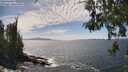 ./images/koeye/fitz-hugh/20260520/fitz-hugh20260520_145002M.jpg