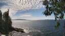 ./images/koeye/fitz-hugh/20260520/fitz-hugh20260520_145501M.jpg