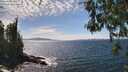 ./images/koeye/fitz-hugh/20260520/fitz-hugh20260520_150001M.jpg