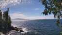 ./images/koeye/fitz-hugh/20260520/fitz-hugh20260520_150501M.jpg