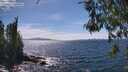 ./images/koeye/fitz-hugh/20260520/fitz-hugh20260520_151001M.jpg