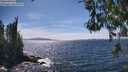 ./images/koeye/fitz-hugh/20260520/fitz-hugh20260520_151501M.jpg