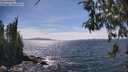./images/koeye/fitz-hugh/20260520/fitz-hugh20260520_152002M.jpg
