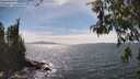 ./images/koeye/fitz-hugh/20260520/fitz-hugh20260520_152501M.jpg