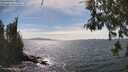 ./images/koeye/fitz-hugh/20260520/fitz-hugh20260520_153001M.jpg