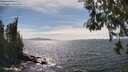 ./images/koeye/fitz-hugh/20260520/fitz-hugh20260520_153501M.jpg