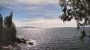 ./images/koeye/fitz-hugh/20260520/fitz-hugh20260520_154001M.jpg