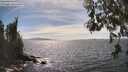 ./images/koeye/fitz-hugh/20260520/fitz-hugh20260520_154501M.jpg