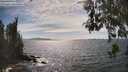 ./images/koeye/fitz-hugh/20260520/fitz-hugh20260520_155501M.jpg