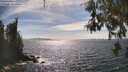 ./images/koeye/fitz-hugh/20260520/fitz-hugh20260520_161001M.jpg