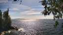 ./images/koeye/fitz-hugh/20260520/fitz-hugh20260520_161501M.jpg