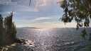 ./images/koeye/fitz-hugh/20260520/fitz-hugh20260520_162001M.jpg