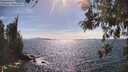 ./images/koeye/fitz-hugh/20260520/fitz-hugh20260520_162502M.jpg