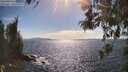 ./images/koeye/fitz-hugh/20260520/fitz-hugh20260520_163501M.jpg