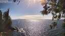 ./images/koeye/fitz-hugh/20260520/fitz-hugh20260520_164001M.jpg