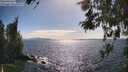 ./images/koeye/fitz-hugh/20260520/fitz-hugh20260520_164502M.jpg