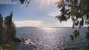 ./images/koeye/fitz-hugh/20260520/fitz-hugh20260520_165001M.jpg