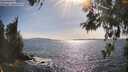 ./images/koeye/fitz-hugh/20260520/fitz-hugh20260520_171002M.jpg