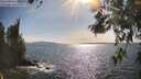 ./images/koeye/fitz-hugh/20260520/fitz-hugh20260520_171501M.jpg