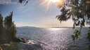 ./images/koeye/fitz-hugh/20260520/fitz-hugh20260520_172001M.jpg
