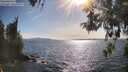 ./images/koeye/fitz-hugh/20260520/fitz-hugh20260520_172501M.jpg