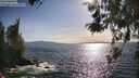 ./images/koeye/fitz-hugh/20260520/fitz-hugh20260520_175002M.jpg