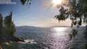 ./images/koeye/fitz-hugh/20260520/fitz-hugh20260520_175501M.jpg