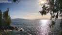 ./images/koeye/fitz-hugh/20260520/fitz-hugh20260520_181002M.jpg