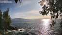 ./images/koeye/fitz-hugh/20260520/fitz-hugh20260520_182501M.jpg