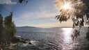 ./images/koeye/fitz-hugh/20260520/fitz-hugh20260520_183501M.jpg