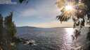 ./images/koeye/fitz-hugh/20260520/fitz-hugh20260520_184501M.jpg