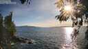 ./images/koeye/fitz-hugh/20260520/fitz-hugh20260520_185002M.jpg