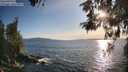 ./images/koeye/fitz-hugh/20260520/fitz-hugh20260520_190501M.jpg