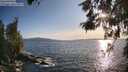 ./images/koeye/fitz-hugh/20260520/fitz-hugh20260520_191001M.jpg