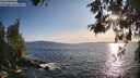 ./images/koeye/fitz-hugh/20260520/fitz-hugh20260520_191501M.jpg