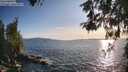 ./images/koeye/fitz-hugh/20260520/fitz-hugh20260520_192001M.jpg