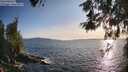 ./images/koeye/fitz-hugh/20260520/fitz-hugh20260520_192501M.jpg
