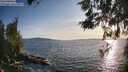 ./images/koeye/fitz-hugh/20260520/fitz-hugh20260520_193501M.jpg