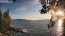 ./images/koeye/fitz-hugh/20260520/fitz-hugh20260520_201001M.jpg