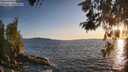./images/koeye/fitz-hugh/20260520/fitz-hugh20260520_202001M.jpg