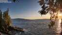 ./images/koeye/fitz-hugh/20260520/fitz-hugh20260520_203501M.jpg