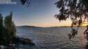 ./images/koeye/fitz-hugh/20260520/fitz-hugh20260520_204501M.jpg
