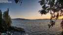 ./images/koeye/fitz-hugh/20260520/fitz-hugh20260520_205002M.jpg