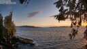 ./images/koeye/fitz-hugh/20260520/fitz-hugh20260520_210501M.jpg
