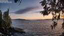 ./images/koeye/fitz-hugh/20260520/fitz-hugh20260520_212001M.jpg